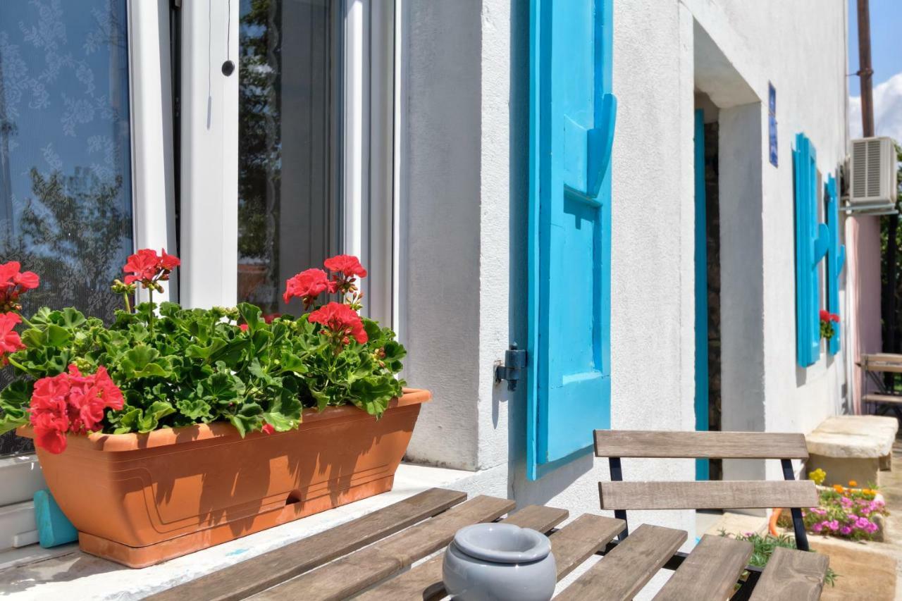 Apartmani Anna Umag Dış mekan fotoğraf